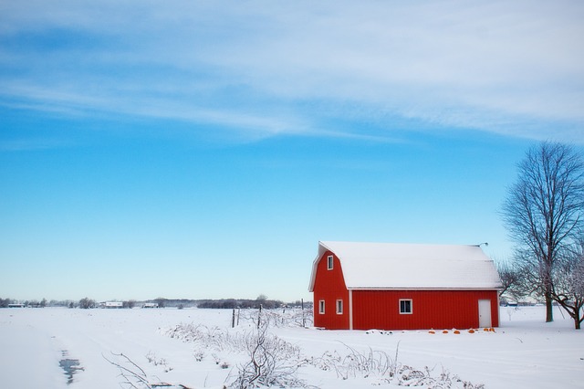 Vinter betyder vila för naturen