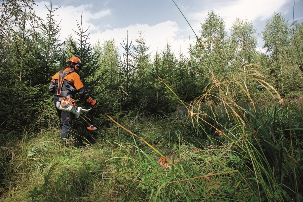Med Stihl röjsåg i skogen